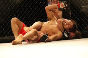 Przeznaczenie i rodzaje rękawic MMA